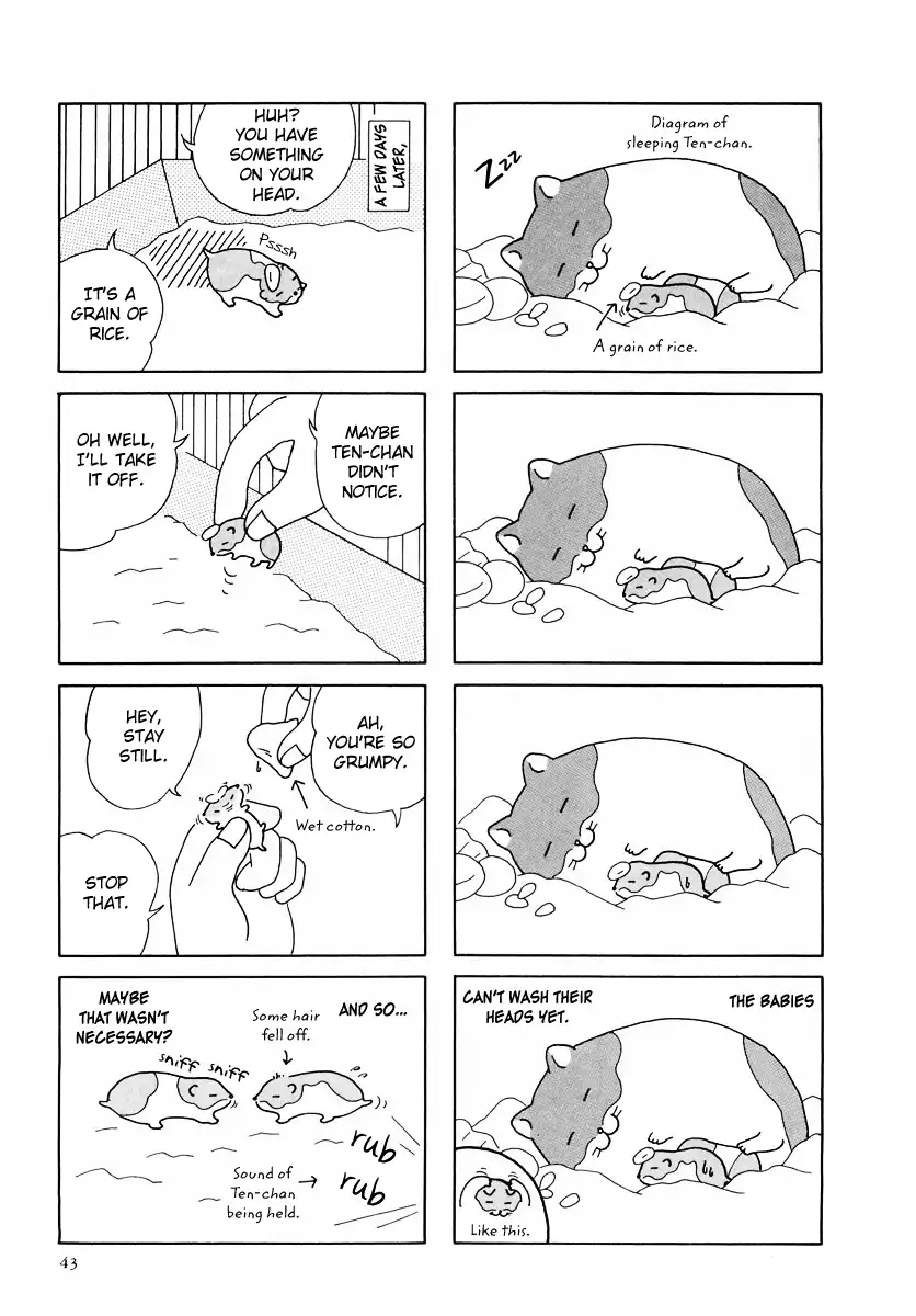 Hamster no Kenkyuu Report Chapter 24 15